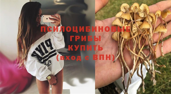амф Баксан