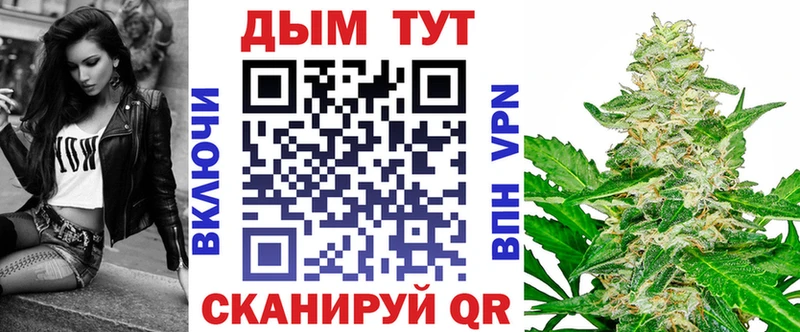 Марихуана гибрид  купить  сайты  Шали 
